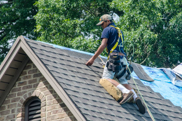 Best Roofing Contractor Near Me  in Belmont, VA